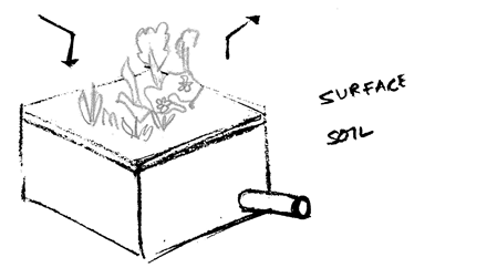 LID_RainGarden.png