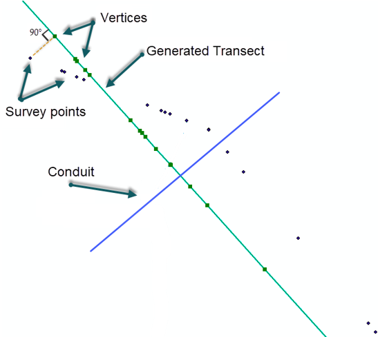 Survey points are projected onto the transect