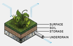SWMM_LIDBioretentionCell.png